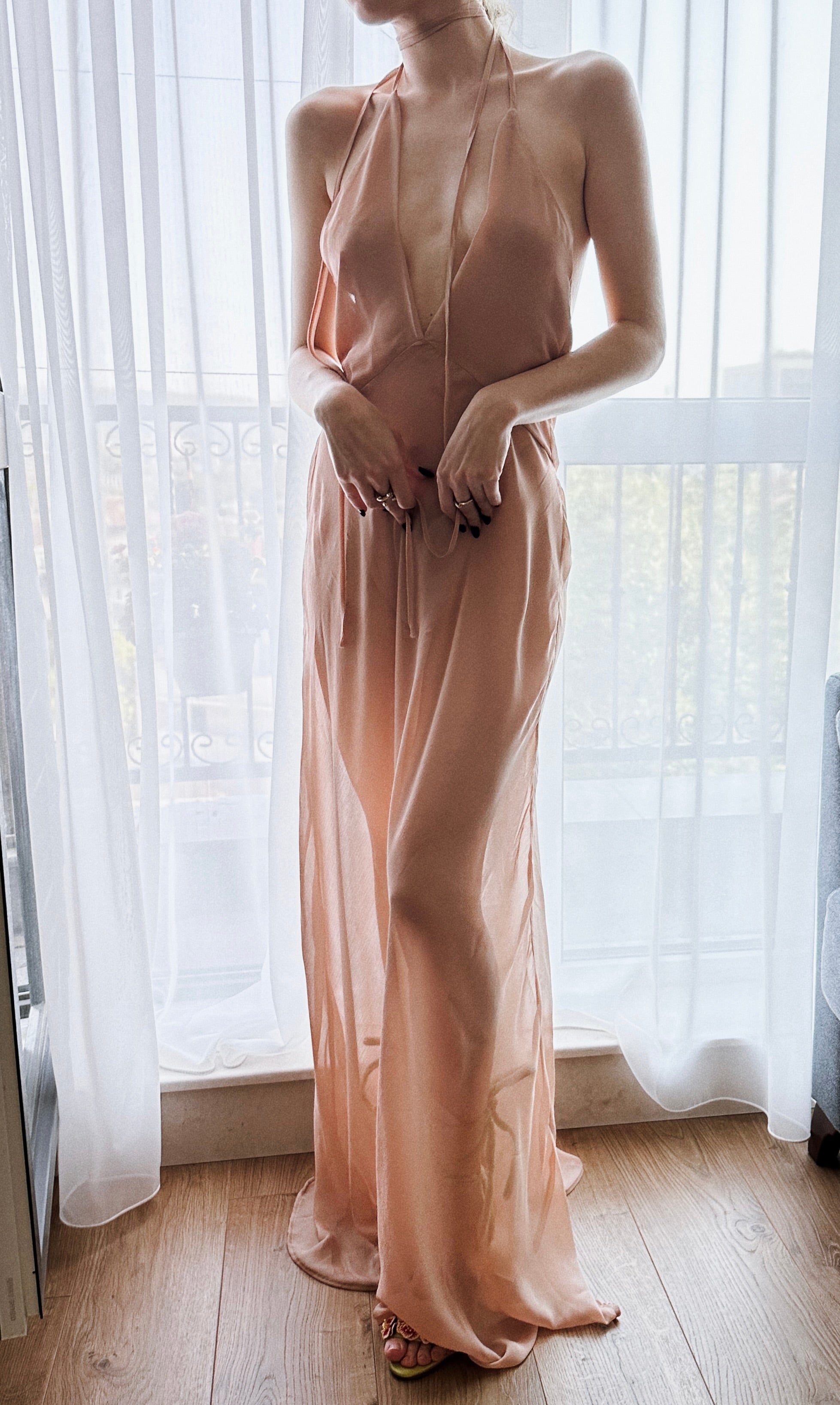 Le Bisou Sheer Silk Maxi Dress Ferbita